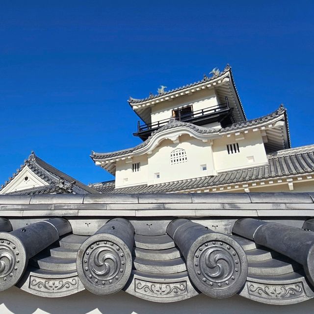 【静岡県】掛川城