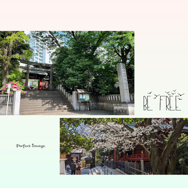 渋谷區特色神社