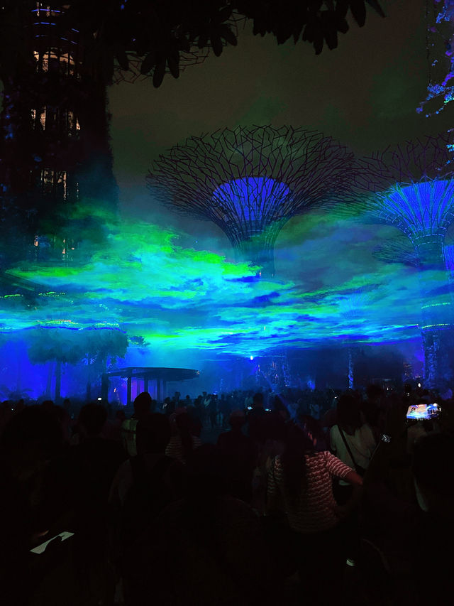 Gardens by the Bay: A Vertical Garden Wonderland