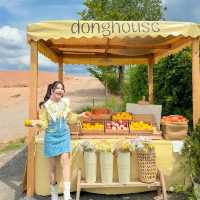 คาเฟ่ลับเขาใหญ่ ตั้งอยู่บนเนินเขา บรรยากาศดี