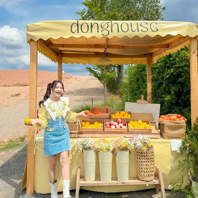 คาเฟ่ลับเขาใหญ่ ตั้งอยู่บนเนินเขา บรรยากาศดี