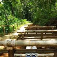 อุทยานแห่งชาติดอยขุนตาล ..