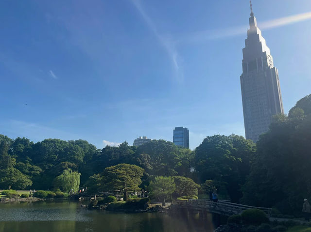 【東京】新宿御苑：櫻花季節必去景點🏖️，適合夏天遊玩🔥🔥