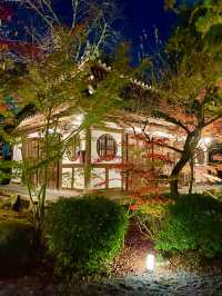 〜京都府〜紅葉の名所永観堂(えいかんどう)
