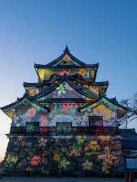 〜滋賀県〜彦根城ライトアップ✨花に包まれるpjマッピング