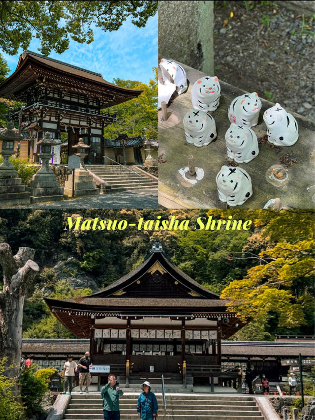Hidden Gems in Kyoto, Japan 🇯🇵