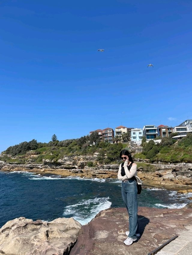 시드니 🇦🇺 본다이비치 옆 해안길 풍경이 이쁜 산책코스