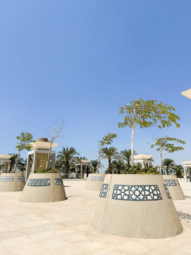 埃及開羅｜又新又大的博物館看木乃伊🇪🇬