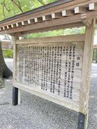 【館山】必見！日本金運3大神社の一つ