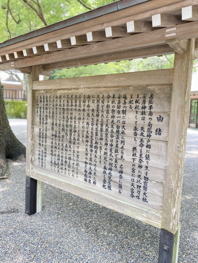 【館山】必見！日本金運3大神社の一つ