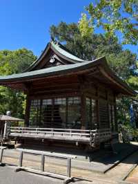 【夏まつり】福岡の観光名所としても名高い神社の夏まつり
