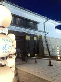【京都旅】期間限定 ライトアップされた夜の二条城