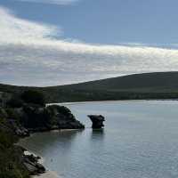 Unveiling the West Coast National Park’s Best-Kept Secret