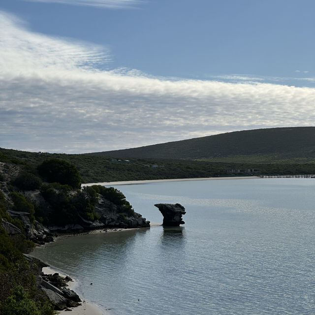 Unveiling the West Coast National Park’s Best-Kept Secret
