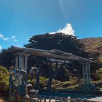 Driving the Great Ocean Road