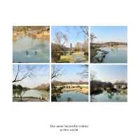 虎跑公園～中式園林之美