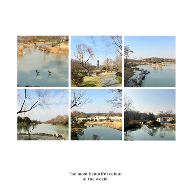 虎跑公園～中式園林之美