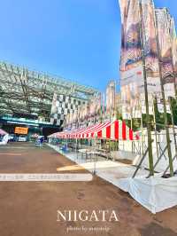 日本三大花火の長岡まつり大花火大会【新潟】