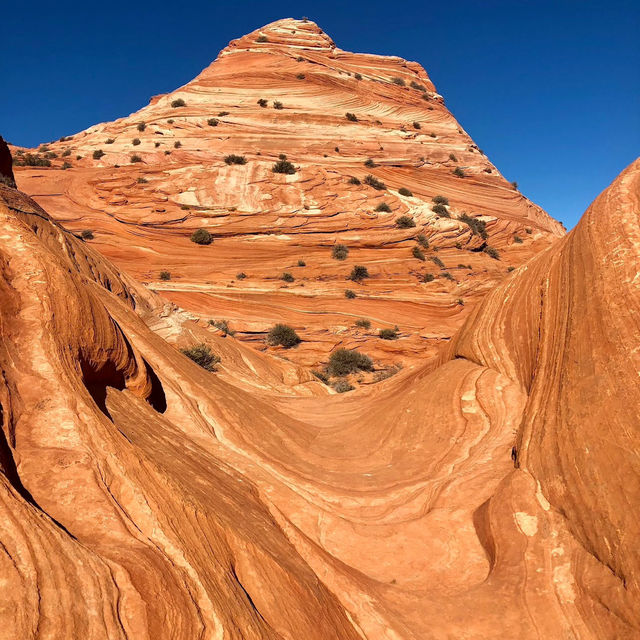 Walk through a masterpiece of nature’s artistry – explore the mesmerizing swirls of The Wave