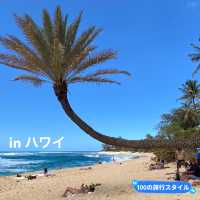 【ハワイ⛵️】サンセット・ビーチパーク