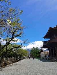 【阿蘇神社:熊本県阿蘇市】2000年の歴史を持つ阿蘇神社⛩️