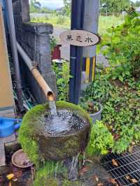 【阿蘇門前町商店街:熊本県阿蘇市】阿蘇神社から歩いてすぐ♪