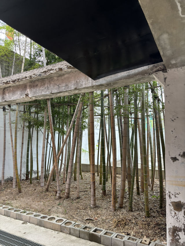 전주의 다양한 전시를 볼 수 있는 문화공간 팔복공장🙏🏻
