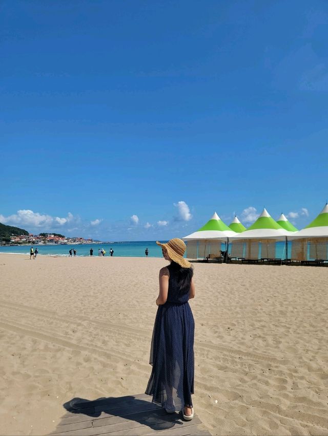 멋진 군함이 보이는 장사해수욕장🏖