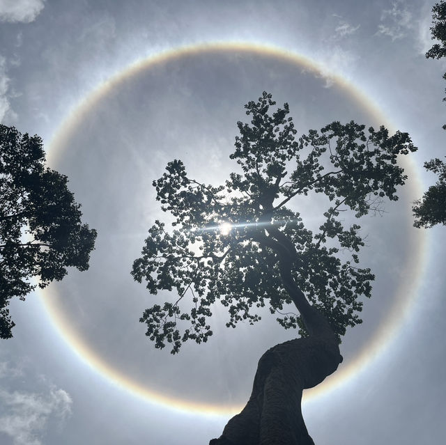 カンボジア🇰🇭〜シェムリアップ〜①