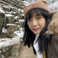 Jigokudani (Snow) Monkey Park ดูน้องลิงแช่ออนเซ็น🐵