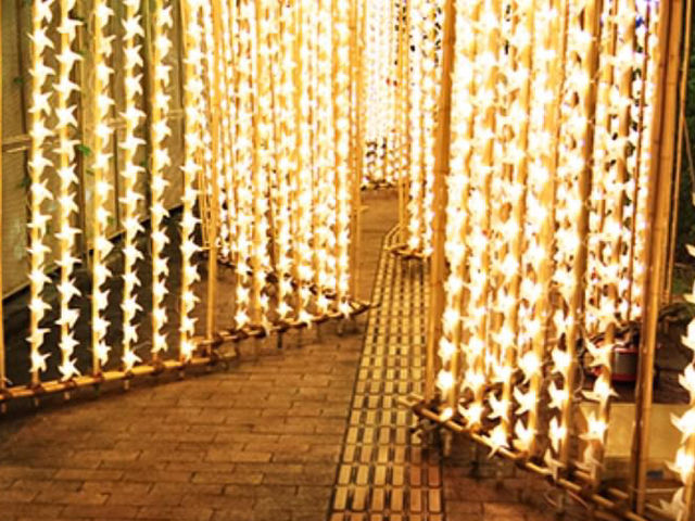阿南 Luminous Town Project