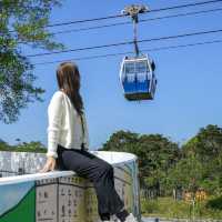 นั่งกระเช้า Ngong Ping ชมวิวแบบพาโนรามา