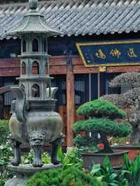 《市內一日遊》【上海真如寺】一日遊：佛門淨土，洗滌心靈