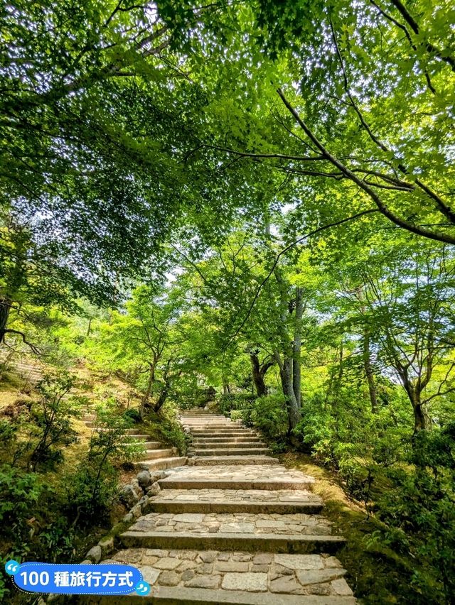 日本京都-參天竹林密境的嵐山之美