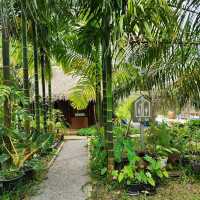 คาเฟ่แบบสโลว์บาร์ Go Back Home