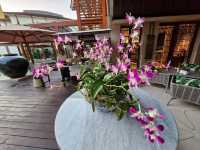 รีวิวโรงแรม InterContinental Hua Hin
