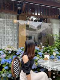 《深圳絕美繡球花咖啡店》