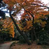 ฤดูที่แตกต่าง Shinjuku Gyoen