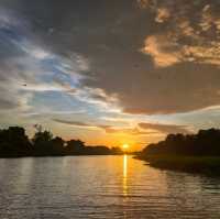 "Teluk Intan Bird View Cruise: A Scenic Journey for Birdwatching and Wildlife Encounters"