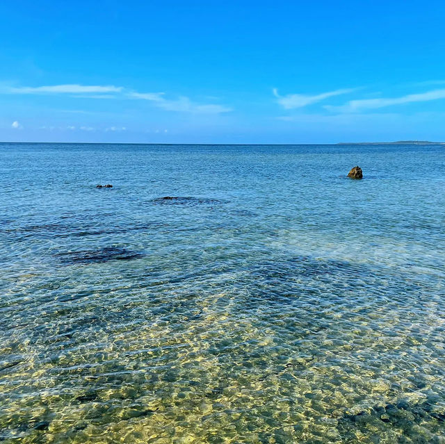 【西表島】星の砂がとれるビーチ！星砂の浜⭐️