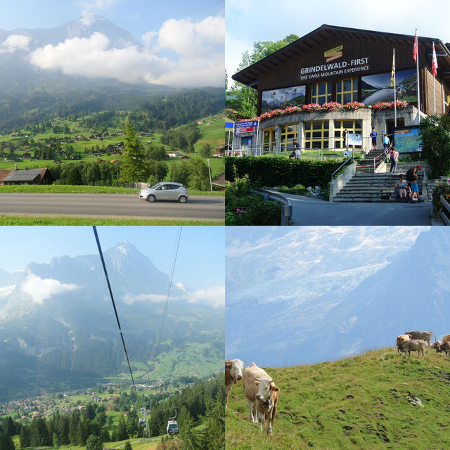 Grindelwald First 🇨🇭