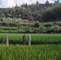 Private fort relics in 21st century Dehua