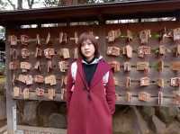 ⛩️วัดโกโตกุจิ โตเกียว วัดแมวกวัก Gotokuji Temple