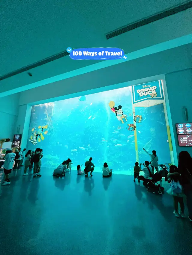 桃園 Xpark 水族館