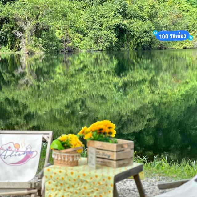 • Alisha อลิชา 🍹🏕️✨@ นครศรีธรรมราช 