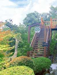 【福岡カフェ】緑に囲まれた景色がいいカフェ🌳✨️