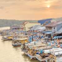"Golden Serenity: Sunset Views in Kuala Sepetang"