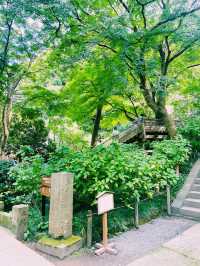 【神奈川県/北鎌倉　秋の明月院も趣がある庭園や風景を堪能できてオススメ！】