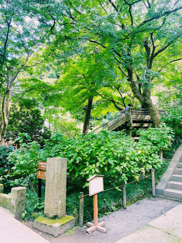 【神奈川県/北鎌倉　秋の明月院も趣がある庭園や風景を堪能できてオススメ！】