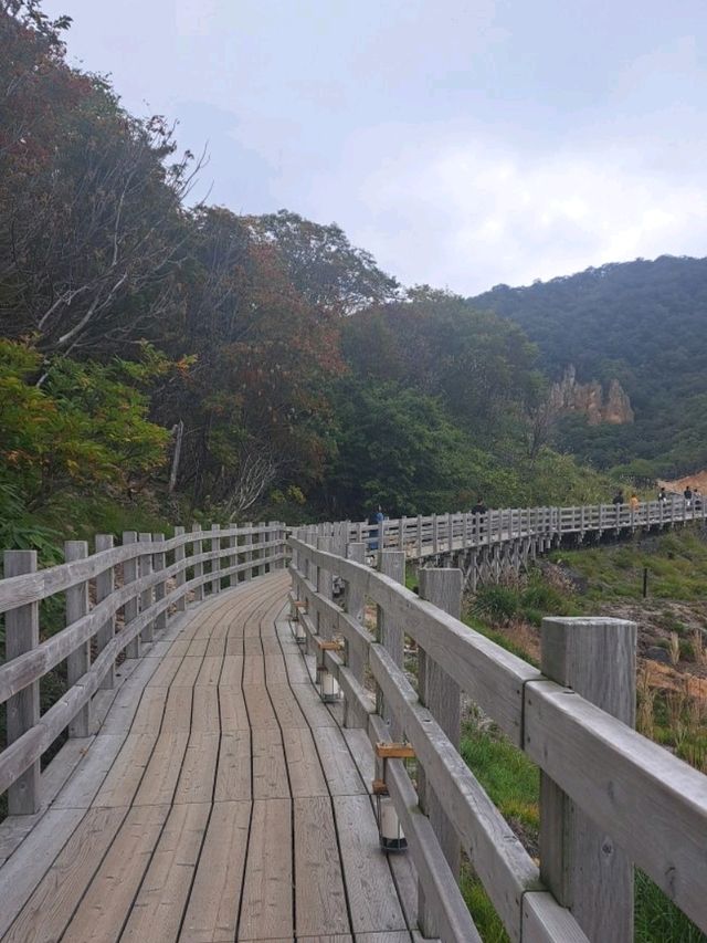 【地獄谷展望台:北海道登別市】まるで地獄!!自然のパワーを感じられる地獄谷👹